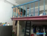 Cần nam ở ghép gần nguyễn huệ không nhận gay - Ảnh 1
