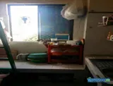 Cần tìm nữ ở ghép gấp lý thường kiệt quận 10 quận 11 - Ảnh 2