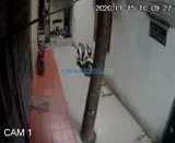 Cho thuê phòng trọ khép kín đầy đủ tiện nghi số số 19 ngách 82/216 kim mã - Ảnh 3