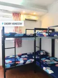 Tìm người ở ghép tại homestay q1 - Ảnh 4