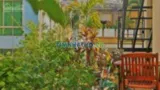 Nhập từ khóa để tìm theo cụm từ nhà đất cho thuêtìm kiếm cho thuê căn hộ dịch vụ tại 418/2 võ văn t - Ảnh 3