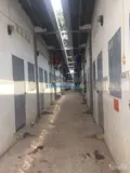 Cho thuê phòng trọ, khu vực mỹ phước 4 - Ảnh 4