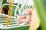 Ký túc xá khu vực q4 (ngay cầu calmette) - Ảnh 3