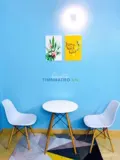 Phòng 25m2 full nội thất, đường hoàng văn thụ, quận phú nhuận - Ảnh 2