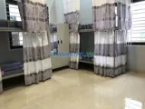 Homestay bến vân đồn 1,8 tr/ng. giảm thêm 1 triệu - Ảnh 2
