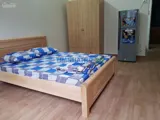 Cho thuê căn hộ mini quận tân bình - 40m2: 1p. ngủ, p. bếp. full nội thất, giá 5,0 triệu - Ảnh 2