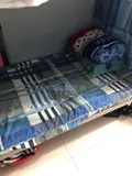 Cho thuê phòng ký túc xá, phòng ở ghép quận gò vấp - Ảnh 3