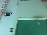 Cho thuê phòng trọ giá rẻ tại ấp bình tiền 2- đức hòa hạ - đức hòa - long an - Ảnh 2