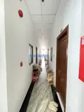 Cần Tết Có Chdv Cho Thuê Dt 20M2/ 2Tr6- 3Tr3, Có Thang Máy , Máy Giặt, 4 Người Ở - Ảnh 5