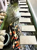 Nhà Phố Cao Cấp P - Ảnh 10
