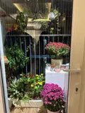 Cho Thuê Căn Hộ 2 Ngủ 60M Chung Cư 349 Vũ Tông Phan, Thanh Xuân - Ảnh 7
