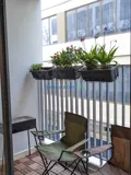 Cho Thuê Căn Hộ Lavida Plus Quận 7 - Giá 15Tr/Tháng - Ảnh 2