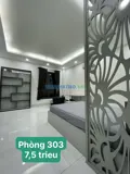 Chính Chủ Cho Thuê Căn Hộ Cao Cấp Thạnh Mỹ Lợi, Cạnh Ubnd Quận 2, Full Nội Thất, - Ảnh 3