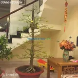 Cho Thuê Nhà 4 Tầng 5Pn Mặt Tiền Đường Kdc Him Lam - Hiệp Bình Chánh - Ảnh 1
