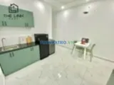 Cho Thuê Căn Hộ 1Pn Full Nt Võ Thị Nhờ Tân Thuận Đông Q7 - Ảnh 6