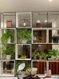 Nhà Cho Thuê Nguyên Căn - 270 M2 - Trệt, 2 Lầu Tại Quận Bình Tân - Ảnh 3