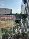 Cho Thuê Căn Hộ Chung Cư Viva Riverside, 1472 Võ Văn Kiệt, Phường 1, Quận 6 - Ảnh 3