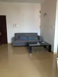 Cho Thuê Căn Hộ Cao Cấp An Cư - View Quận 1 - Thủ Đức - Ảnh 3