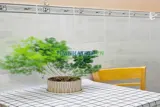 Căn Hộ 4 Triệu – Có Ngay Căn Hộ Full Nội Thất, Không Cần Chung Chủ – Ngay Trung Tâm Phú Nhuận! - Ảnh 2