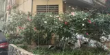 Cho Thuê Phòng Trọ Linh Đàm - Hoàng Mai: Giá Từ 3tr - 4.2tr, Full Tiện Nghi, An Ninh Tốt - Ảnh 11