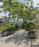 Tìm 1 Nam ở ghép phòng 3 người, Studio, Thủ Đức - Ảnh 1