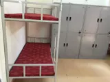Nhà trọ cho người trẻ tuổi cả nam và nữ - Ảnh 2
