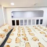 CHO THUÊ CĂN HỘ DUPLEX - FULL NỘI THẤT - MÁY GIẶT RIÊNG – VÕ THÀNH TRANG, TÂN BÌNH – GẦN ĐH VĂN HIẾN - Ảnh 4