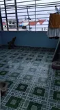 Cho thuê nhà 3 tầng gần Tây Hòa, đường 129, P. Long A – 200m2 – 3PN – xe hơi quay đầu – 10tr/tháng - Ảnh 5