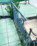 Nhà nguyên căn  Đường số 8, P. Linh Tây Thủ Đức 2PN 1WC 1 trệt 1 lầu gần chợ Thủ Đức giá 5.5tr/tháng - Ảnh 6