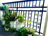 Cho Thuê Căn Hộ FULL NỘI THẤT 4S Linh Đông – 2PN, 2WC, ở Được Từ đầu T7 - 8.5tr/ - Ảnh 4