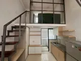 KHAI TRƯƠNG CHDV NEW SEAL 100% BAN CÔNG SAU - Ảnh 2