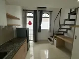 KHAI TRƯƠNG CHDV NEW SEAL 100% BAN CÔNG SAU