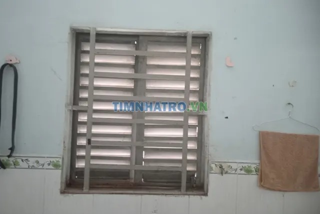 Cần người ở ghép chung cho vui