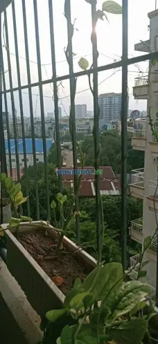 Chung cư gia đình yên tĩnh trung tâm q10