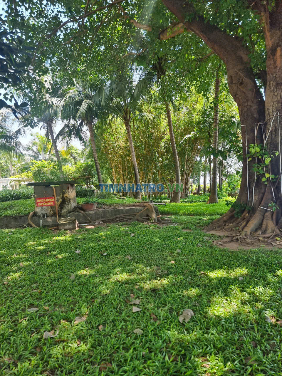 Căn Hộ Ven Sông Sài Gòn-Chung Cư 4 S Riverside Garden