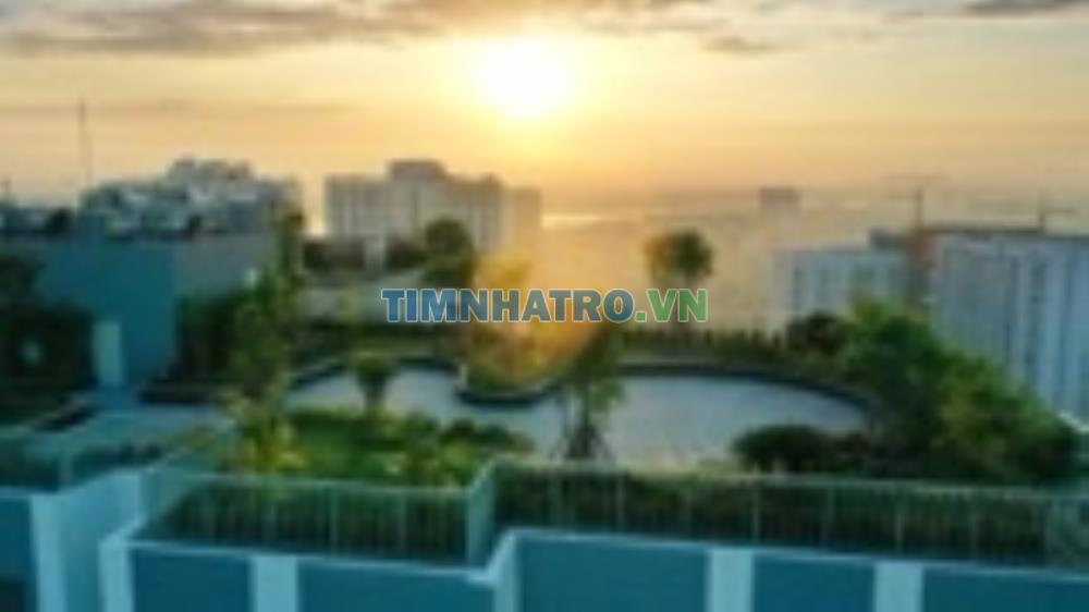 Cho Thuê Ch Penthouse View Phố Thoáng Mát