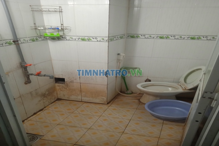 Cần người ở ghép chung cho vui