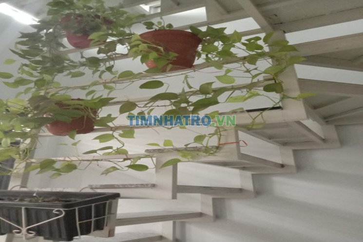 Chính chủ cho thuê phòng trọ ngay trung tâm quận 10, ngay chợ hoa, khu ẩm thực Hồ Thị Kỷ