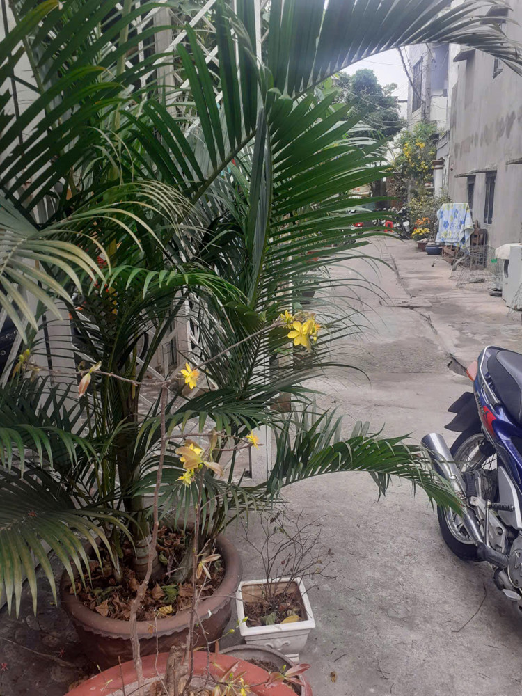 Cho Thuê Phòng Trọ 18m2 Lê Văn Phan, Tân Phú, Hồ Chí Minh