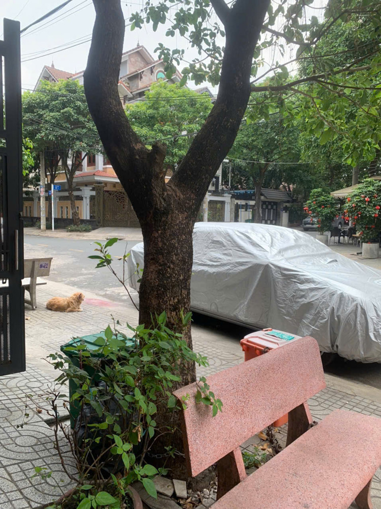 (Giá 25tr) Chính Chủ - Nhà phố Mặt Tiền Đường 21 P. Linh Chiểu, 3PN 4WC, 3PN4WC, xe hơi đậu cửa