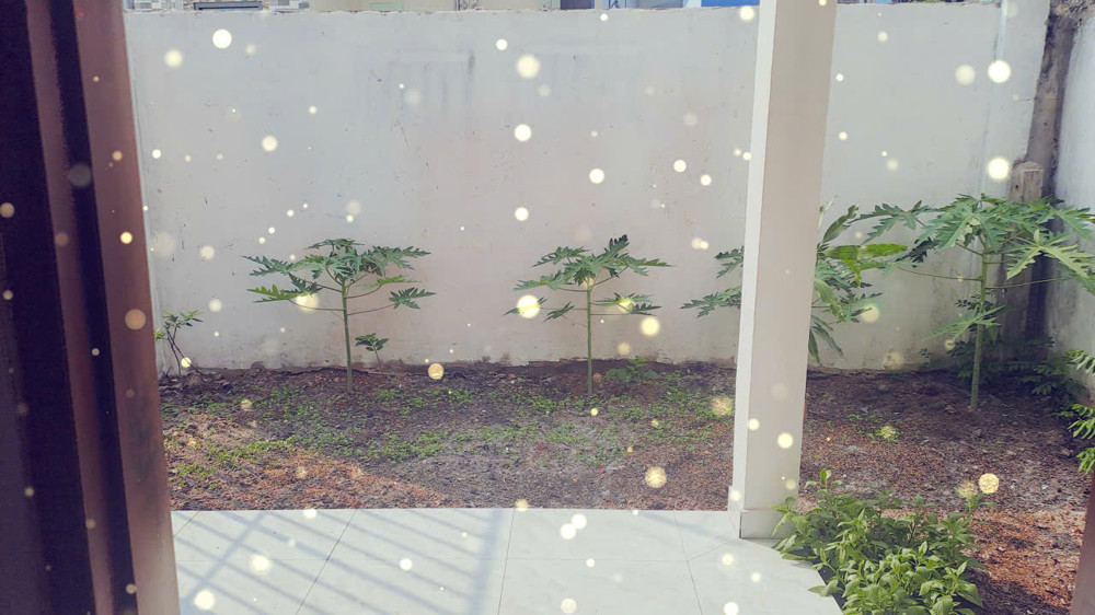 Nhà mặt tiền Đường Số, P. Linh Đông, Thủ Đức – 4x25m – 2PN 2WC– nhà mới 100% – 10tr/tháng