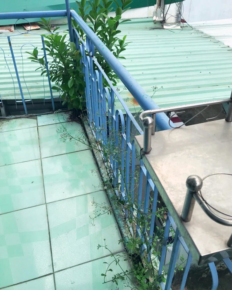 Nhà nguyên căn  Đường số 8, P. Linh Tây Thủ Đức 2PN 1WC 1 trệt 1 lầu gần chợ Thủ Đức giá 5.5tr/tháng