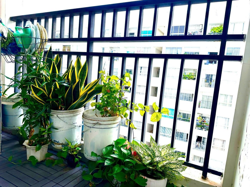 Cho Thuê Căn Hộ FULL NỘI THẤT 4S Linh Đông – 2PN, 2WC, ở Được Từ đầu T7 - 8.5tr/