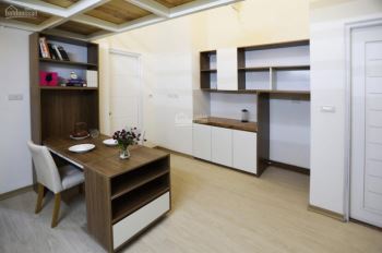Chính chủ cho thuê chung cư mini trung tâm hà nội văn minh, an toàn, hiện đại cho gia đình trẻ