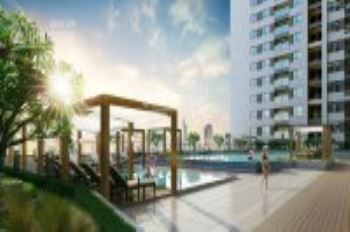 Homestay chung cư cao cấp pree hồ bơi, gym 1.99tr/người/tháng