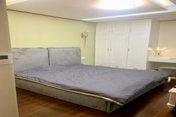 Cho Thuê Căn Hộ 2 Ngủ Chung Cư Hc Golden, 319 Hồng Tiến, Long Biên