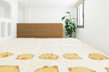 CHO THUÊ CĂN HỘ DUPLEX - FULL NỘI THẤT - MÁY GIẶT RIÊNG – VÕ THÀNH TRANG, TÂN BÌNH – GẦN ĐH VĂN HIẾN