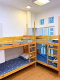 Phòng trọ ktx tại cộng hòa p12 quận tân bình - Ảnh 3