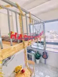 Căn hộ tiện nghi , phường 15 , tân bình - Ảnh 2