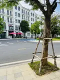 Cho Thuê Nhà Phố Nguyên Căn Hoàn Thiện 5 Tầng Ở Vinhomes Grand Park - Ảnh 3